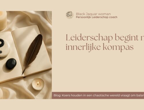 Koers houden in deze chaotische wereld vraagt om een balans tussen Yin & Yang.