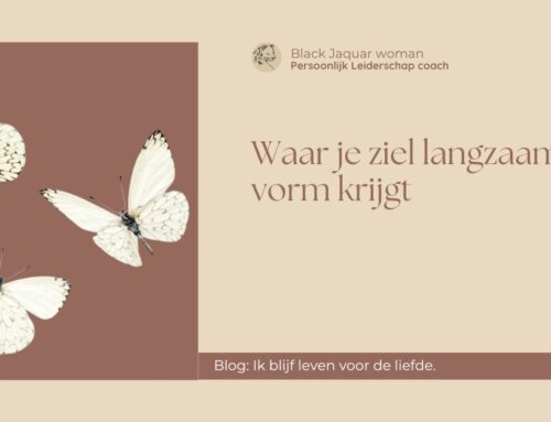 Stop met finetunen aan je huisstijl. Begin met scherpstellen van je essentie.